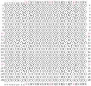 pattern